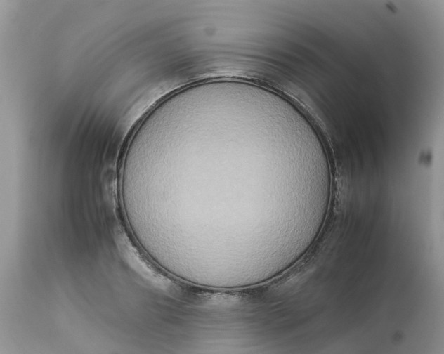X0000113110890200909111112