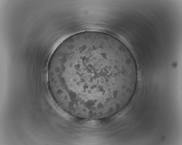 X0000113110891200909111112