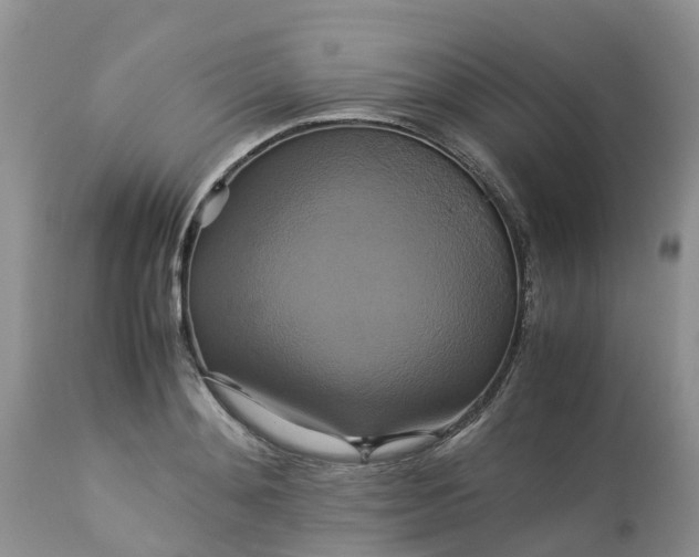 X0000113110892200909111112