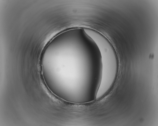 X0000113110893200909111112
