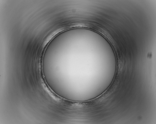 X0000113110898200909111112