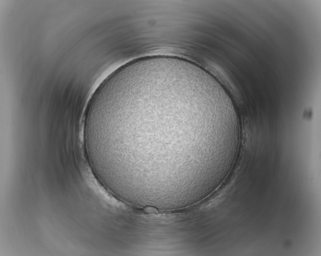 X0000113110900200909111112
