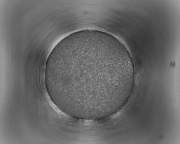 X0000113110903200909111112