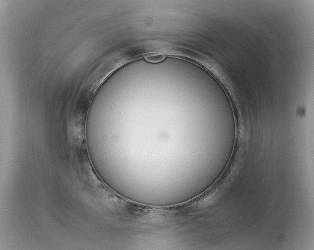 X0000113110905200909111112