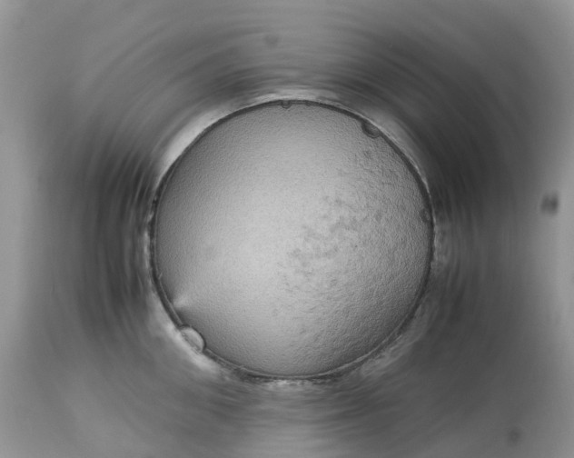 X0000113110906200909111112