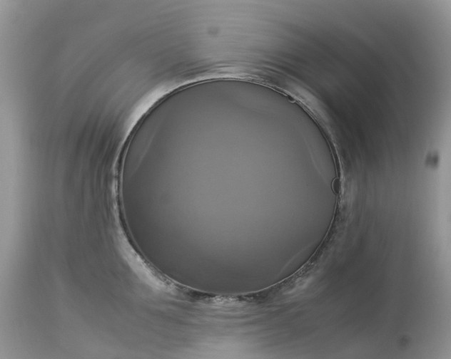 X0000113110907200909111112
