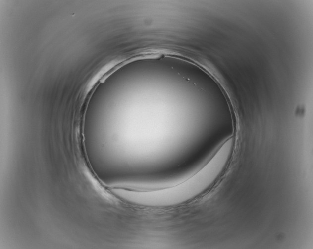 X0000113110909200909111112