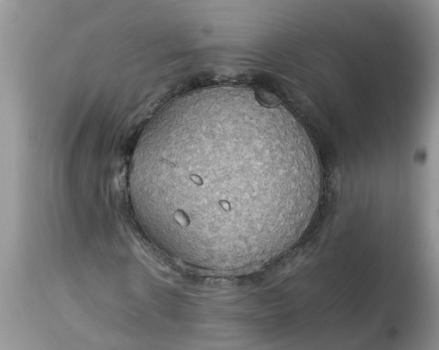 X0000113110914200909111111