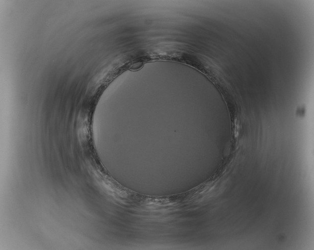 X0000113110915200909111111