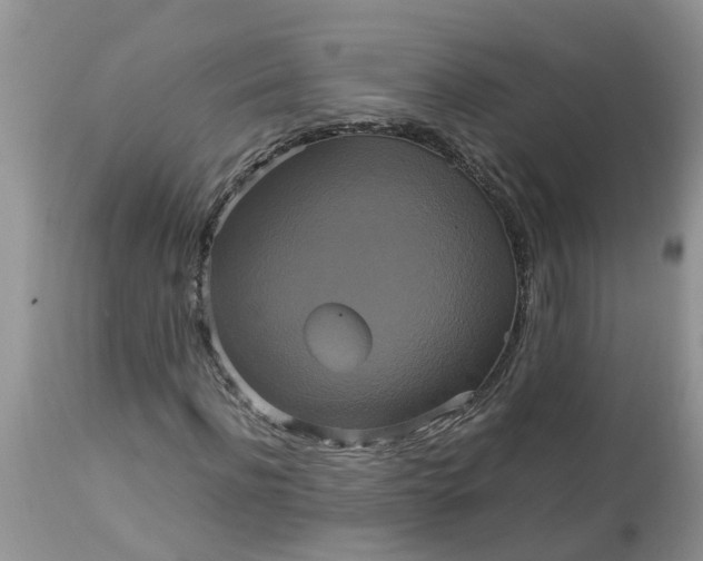 X0000113110916200909111111