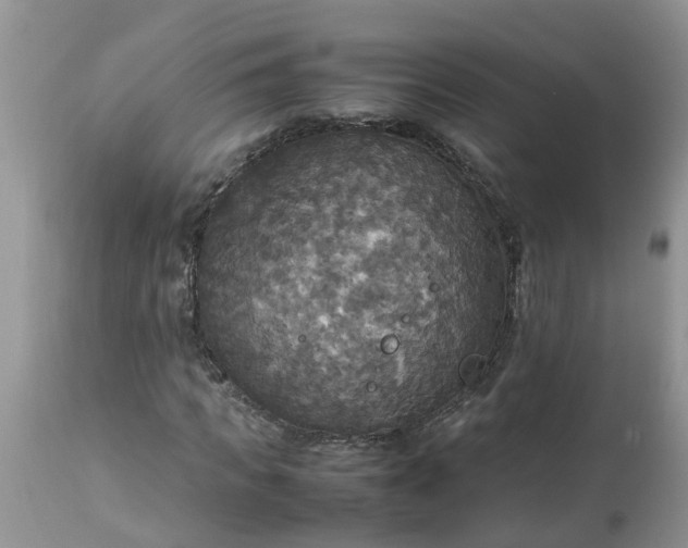 X0000113110917200909111111