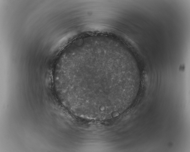 X0000113110918200909111111