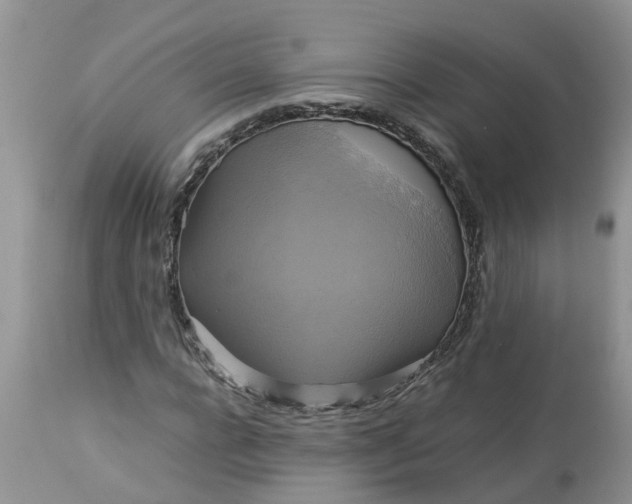 X0000113110920200909111111