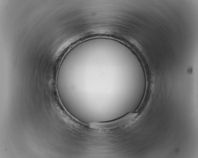 X0000113110922200909111111