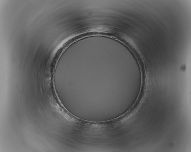 X0000113110923200909111111