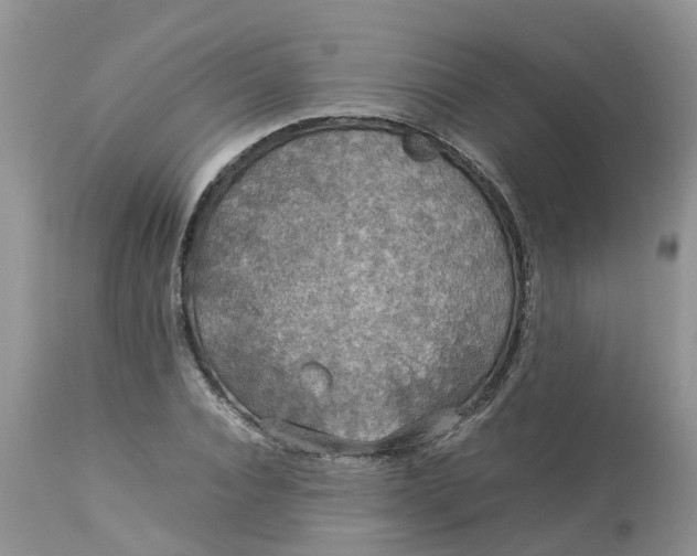 X0000113110928200909111112
