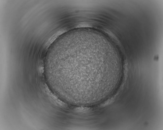 X0000113110929200909111112