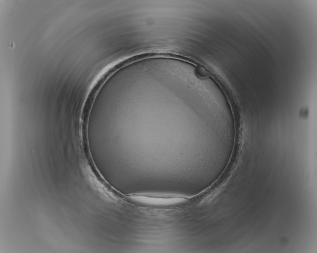 X0000113110932200909111112