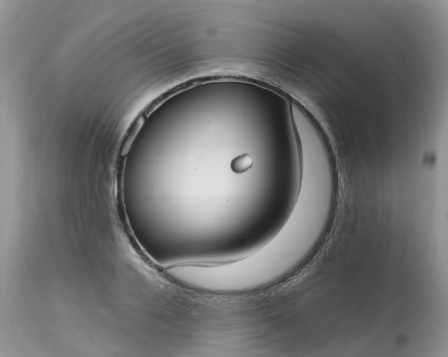 X0000113110936200909111112