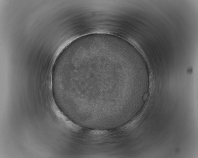 X0000113110939200909111112