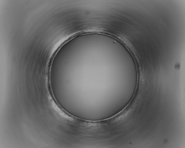 X0000113110941200909111112
