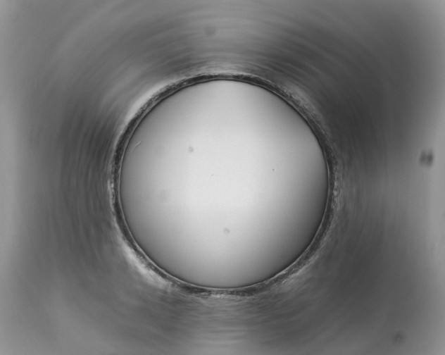 X0000113110942200909111112