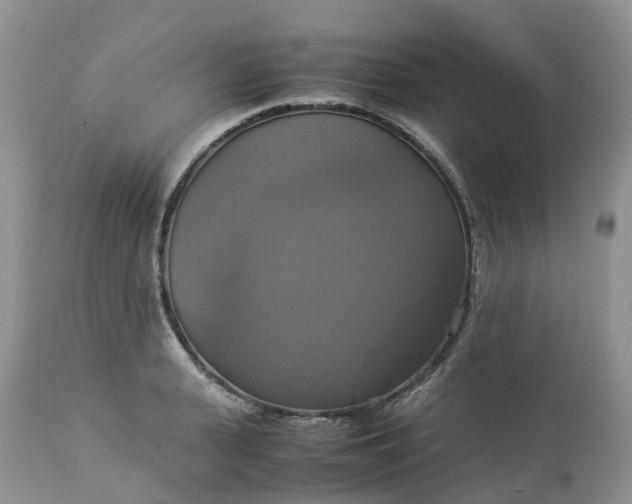 X0000113110943200909111112