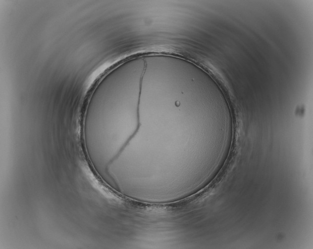 X0000113110944200909111112