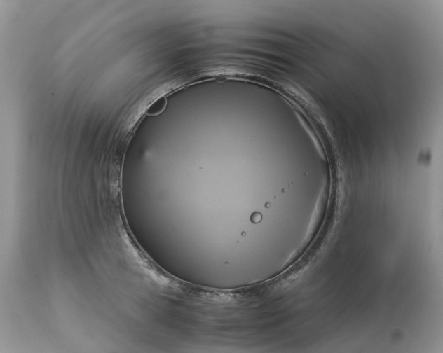 X0000113110945200909111112