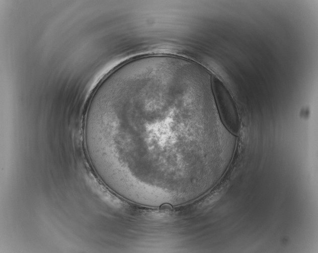 X0000113110948200909111112