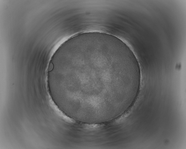 X0000113110949200909111112