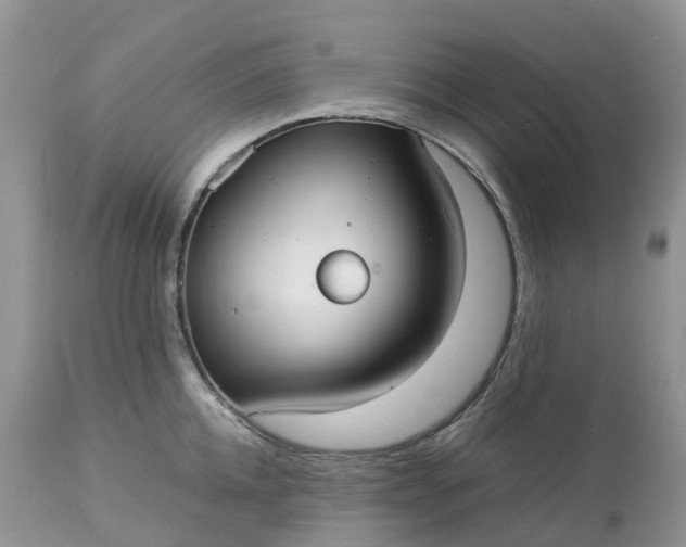 X0000113110952200909111112