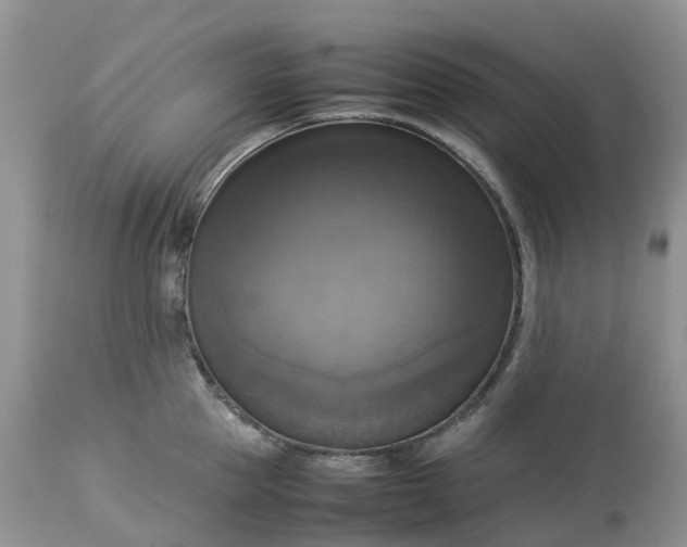 X0000113110953200909111112