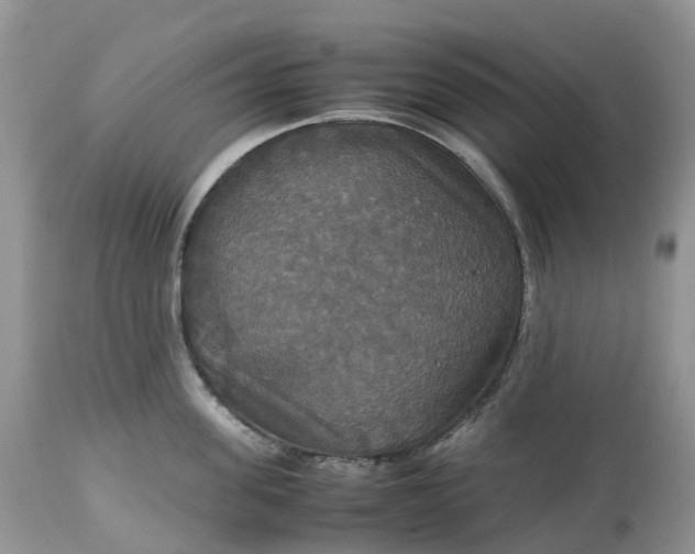 X0000113110955200909111112