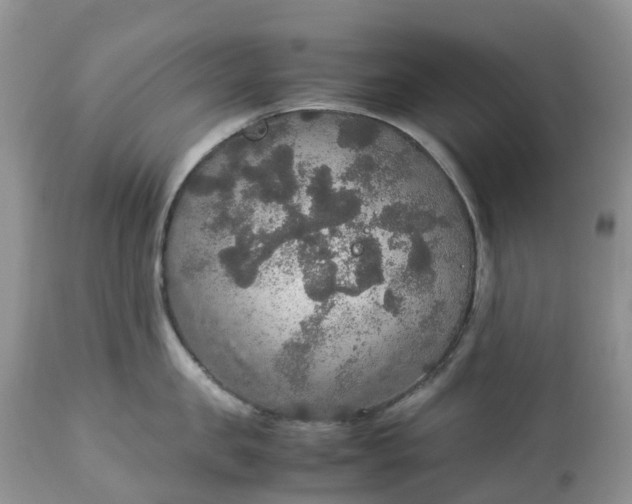 X0000113110957200909111112