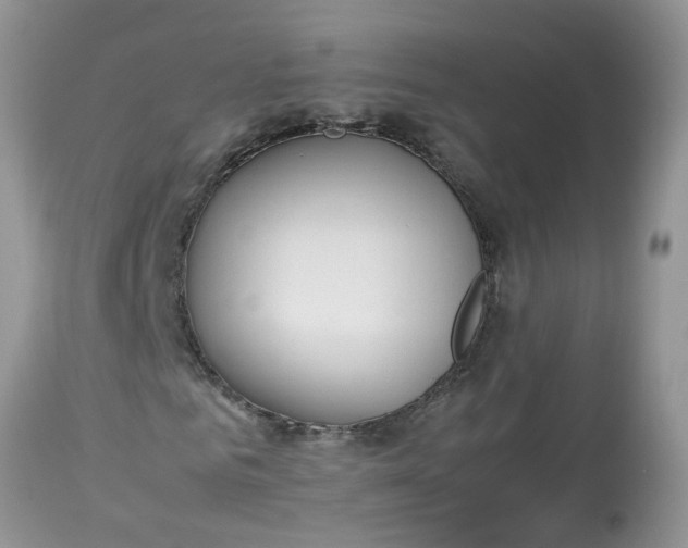 X0000113110961200909111111