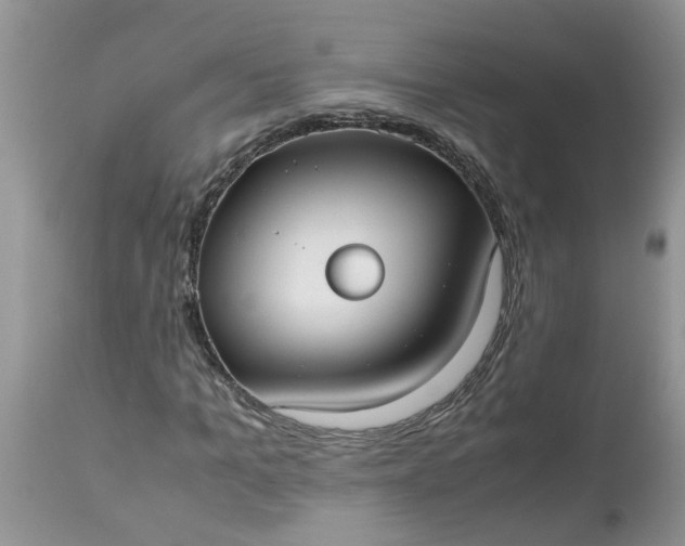 X0000113110965200909111111