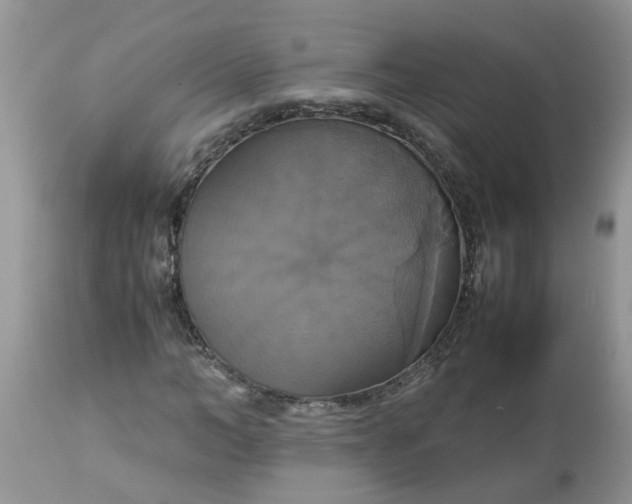 X0000113110966200909111111
