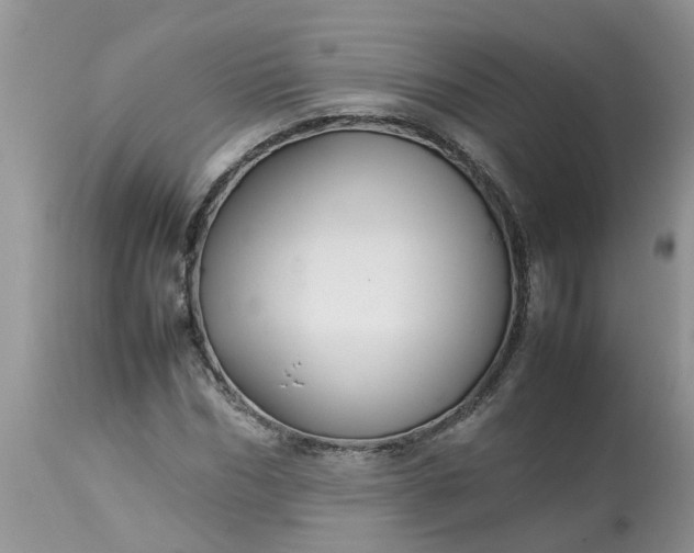 X0000113110970200909111111