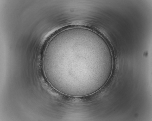 X0000113110971200909111111