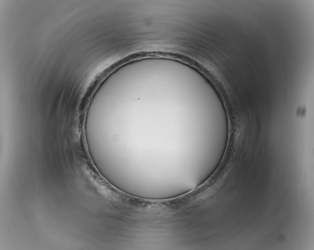 X0000113110974200909111111