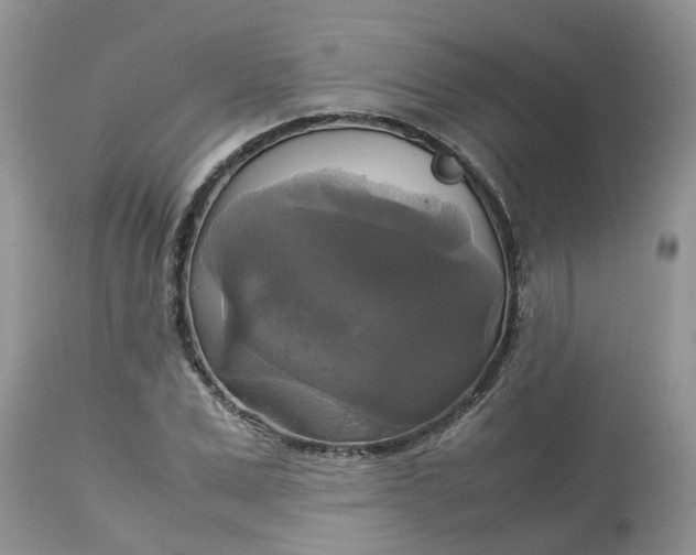 X0000113110975200909111111