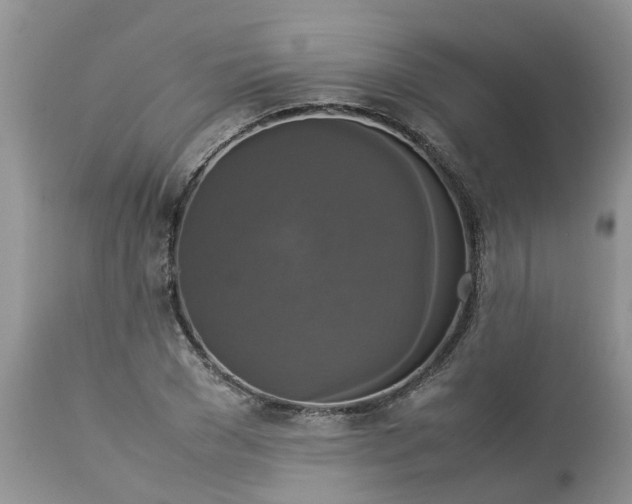 X0000113110977200909111111