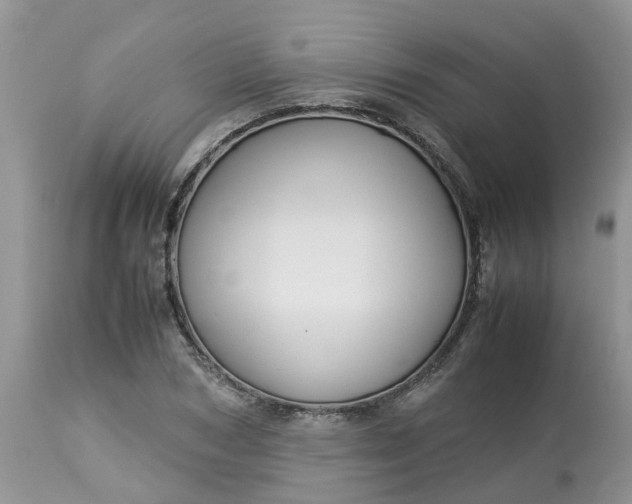 X0000113110978200909111111