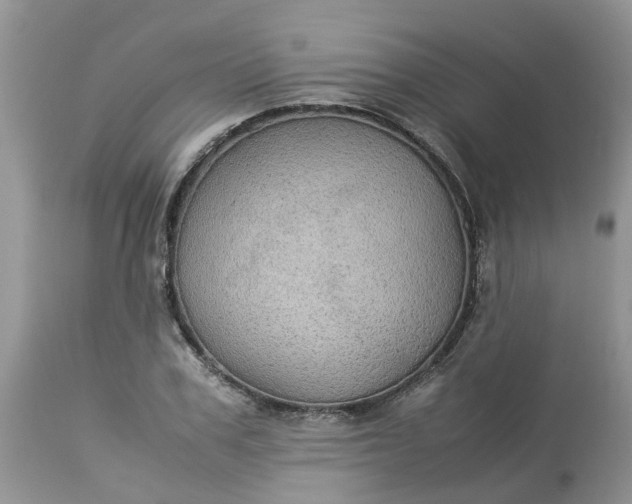X0000113110979200909111111