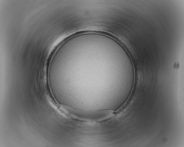 X0000113110982200909111111