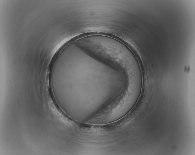 X0000113110983200909111111