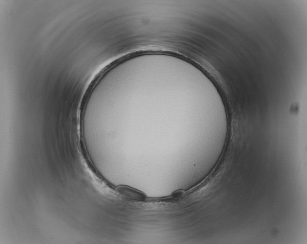 X0000113110988200909111111
