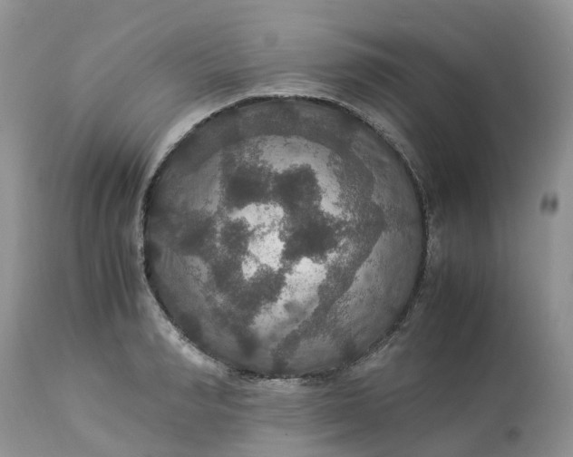 X0000113110990200909111111