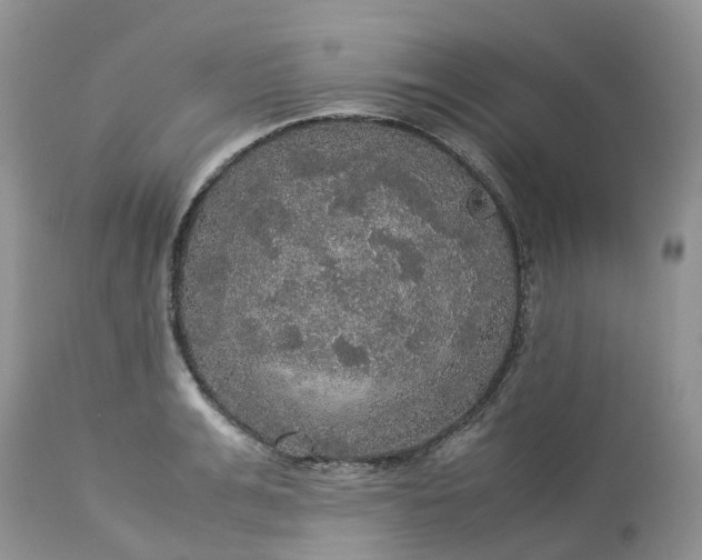 X0000113110991200909111111